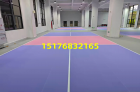 金昌市匹克球地胶
